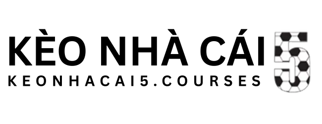 bearx.co
